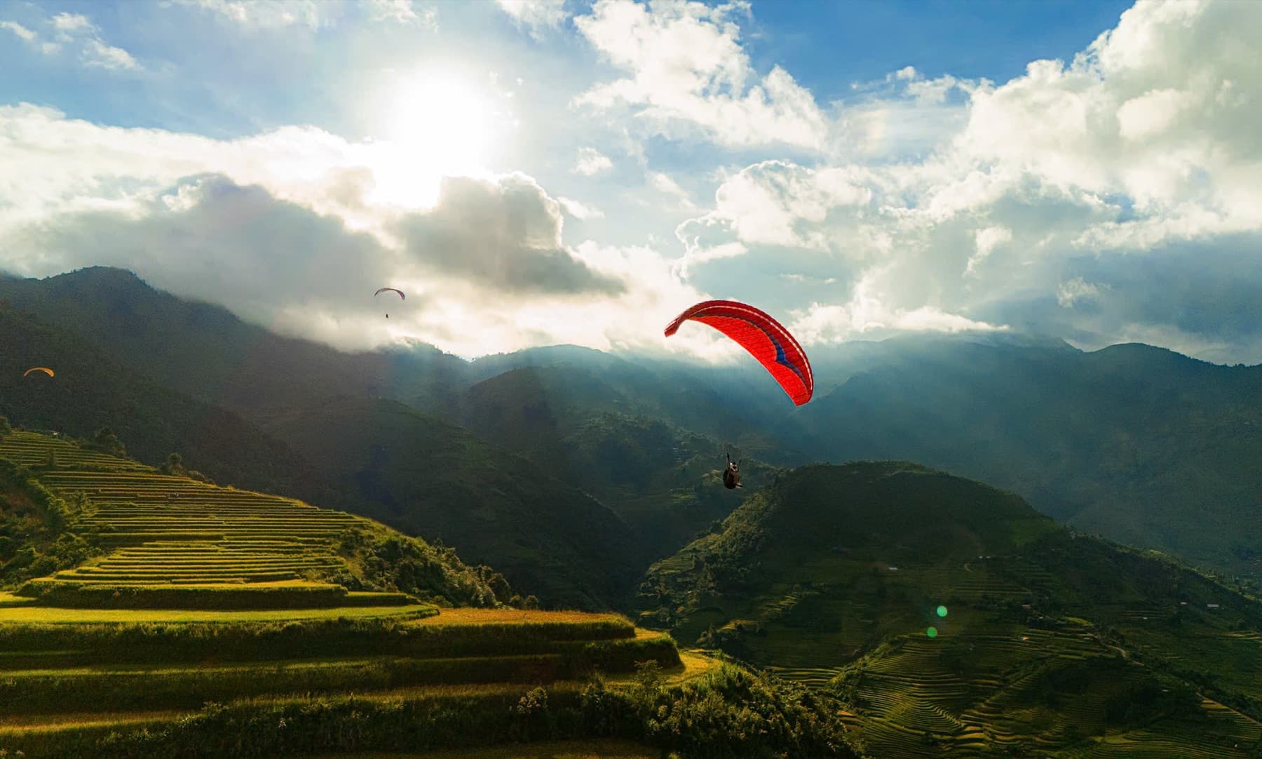 Khoảnh khắc mùa vàng 5