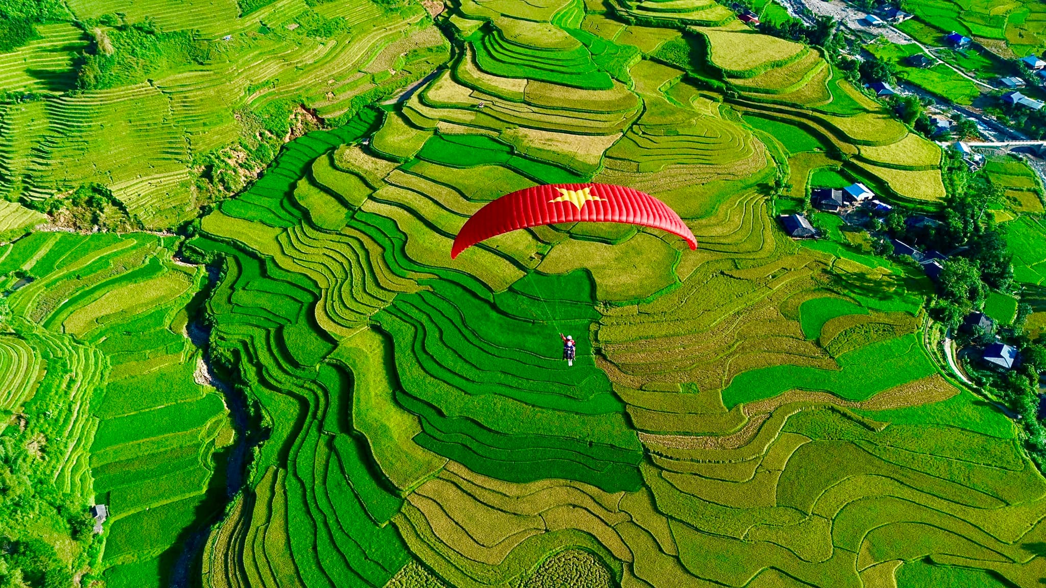 Ảnh thư viện 6