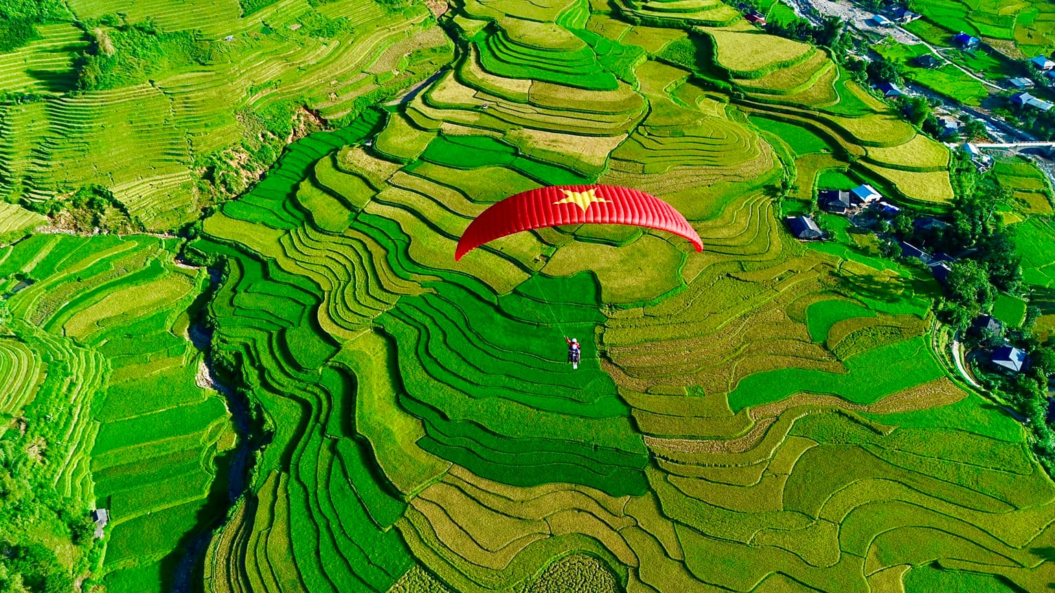 Ảnh thư viện 6