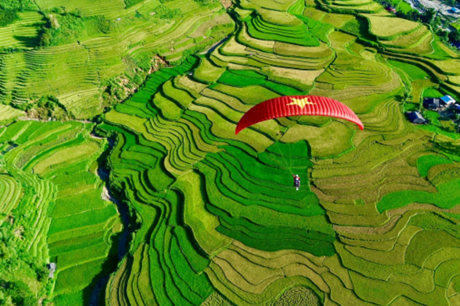 Dù lượn Mù Cang Chải hay Sapa? So sánh từ đơn vị vận hành cả hai