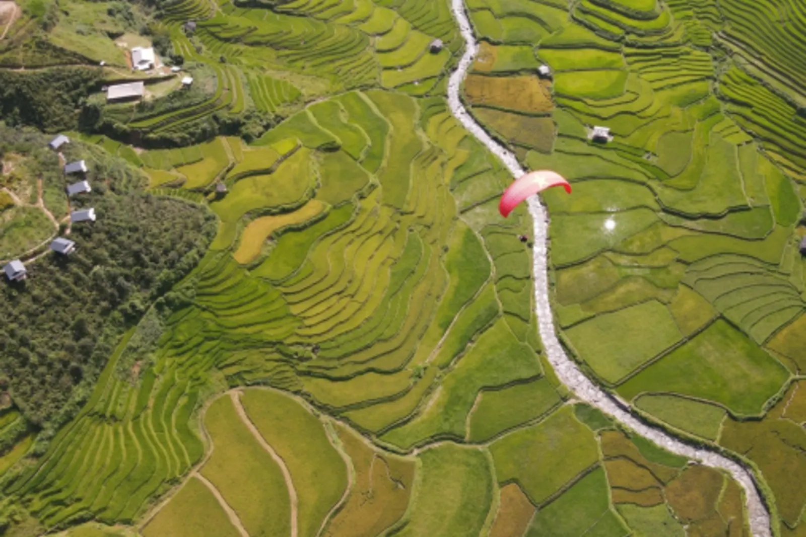 Bản Lìm Mông: góc ngắm ruộng bậc thang dưới đèo Khau Phạ
